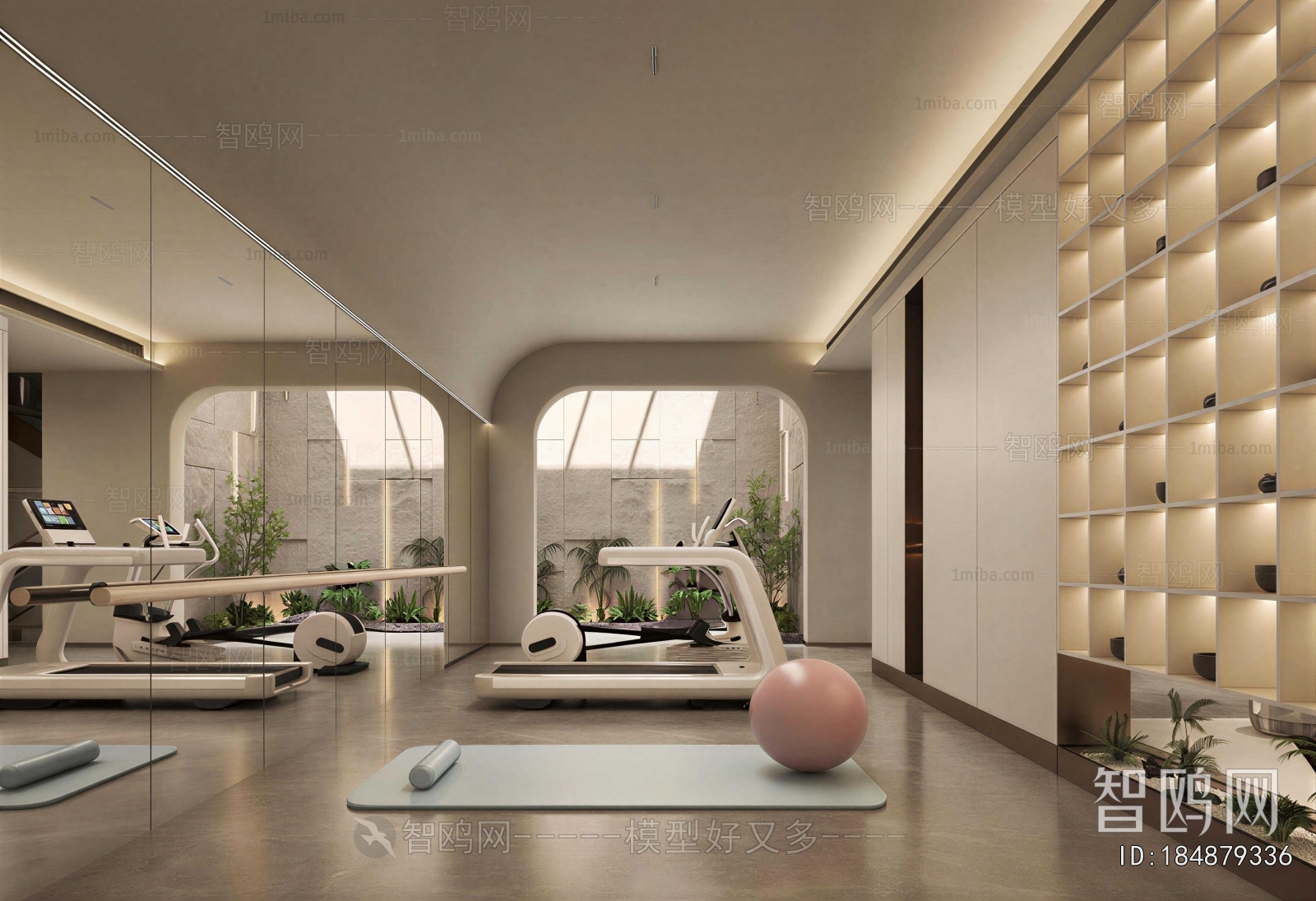 Modern Home Fitness Room