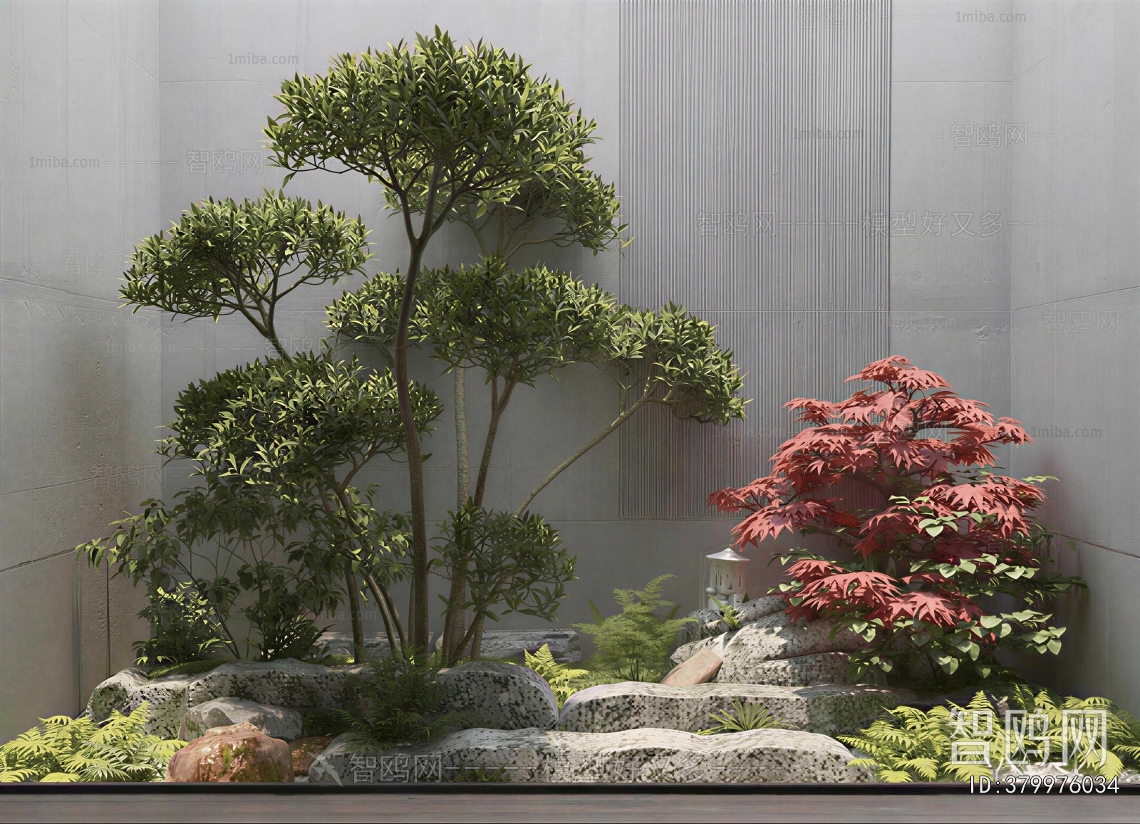 Modern Plant Landscaping