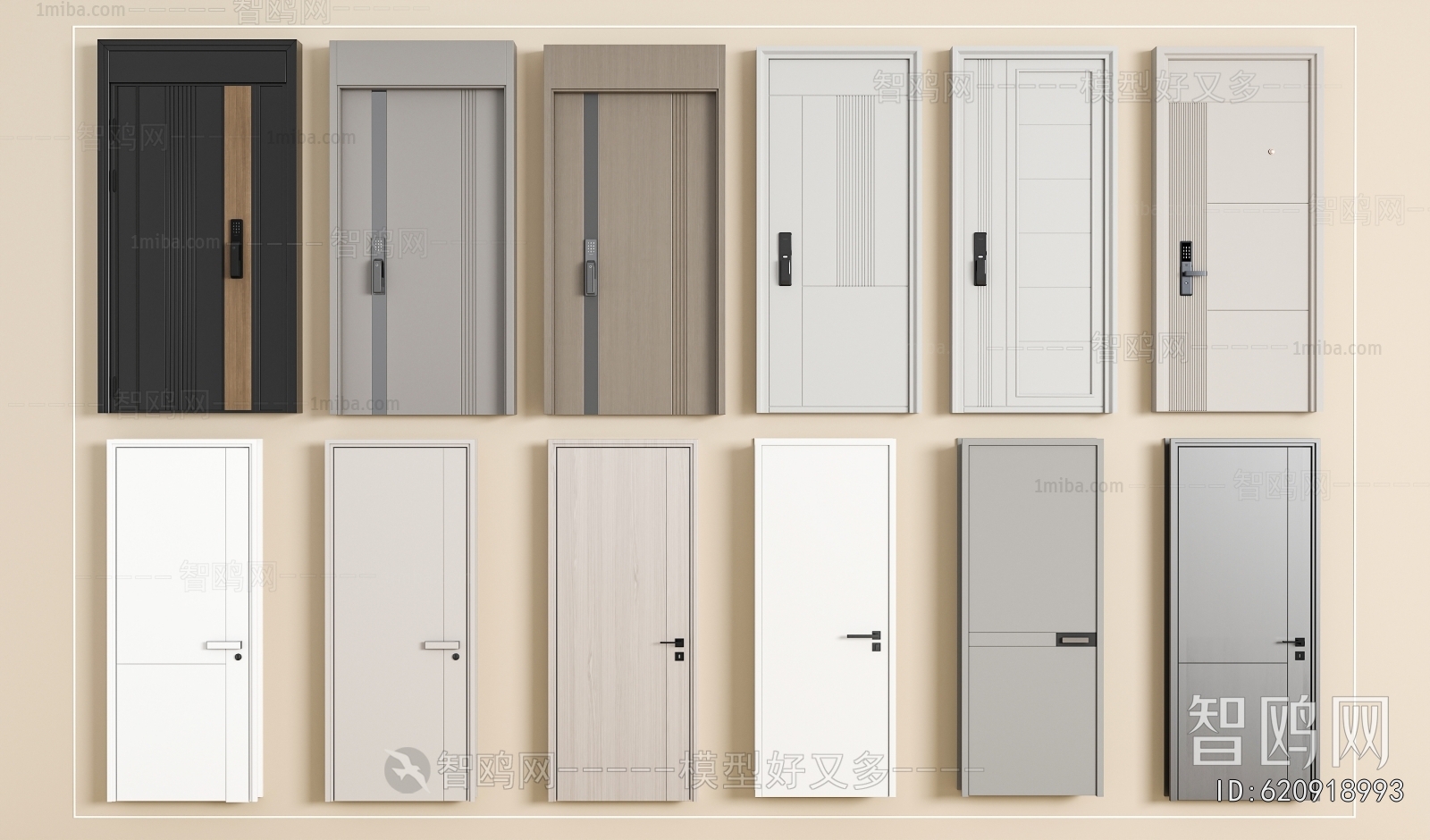 Modern Entrance Door