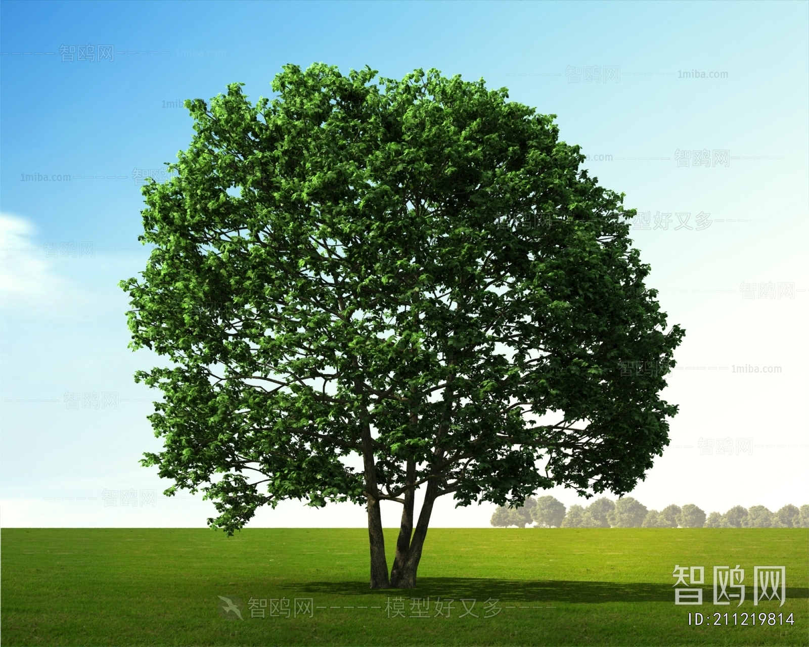 Modern Tree