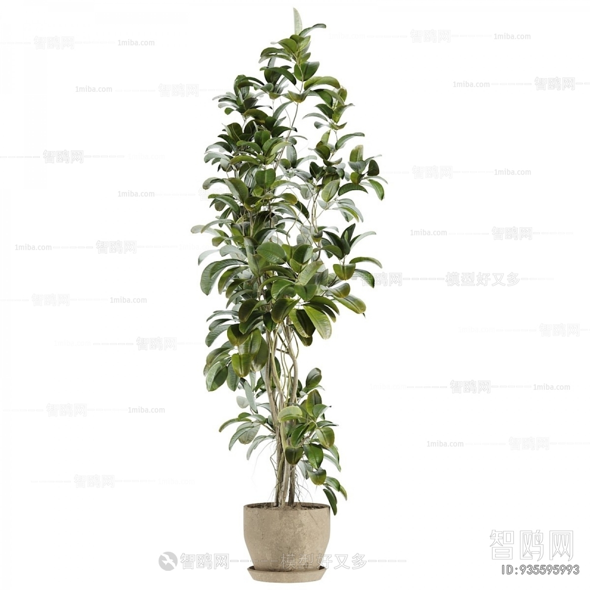 Modern Ground Green Plant Potted Plants