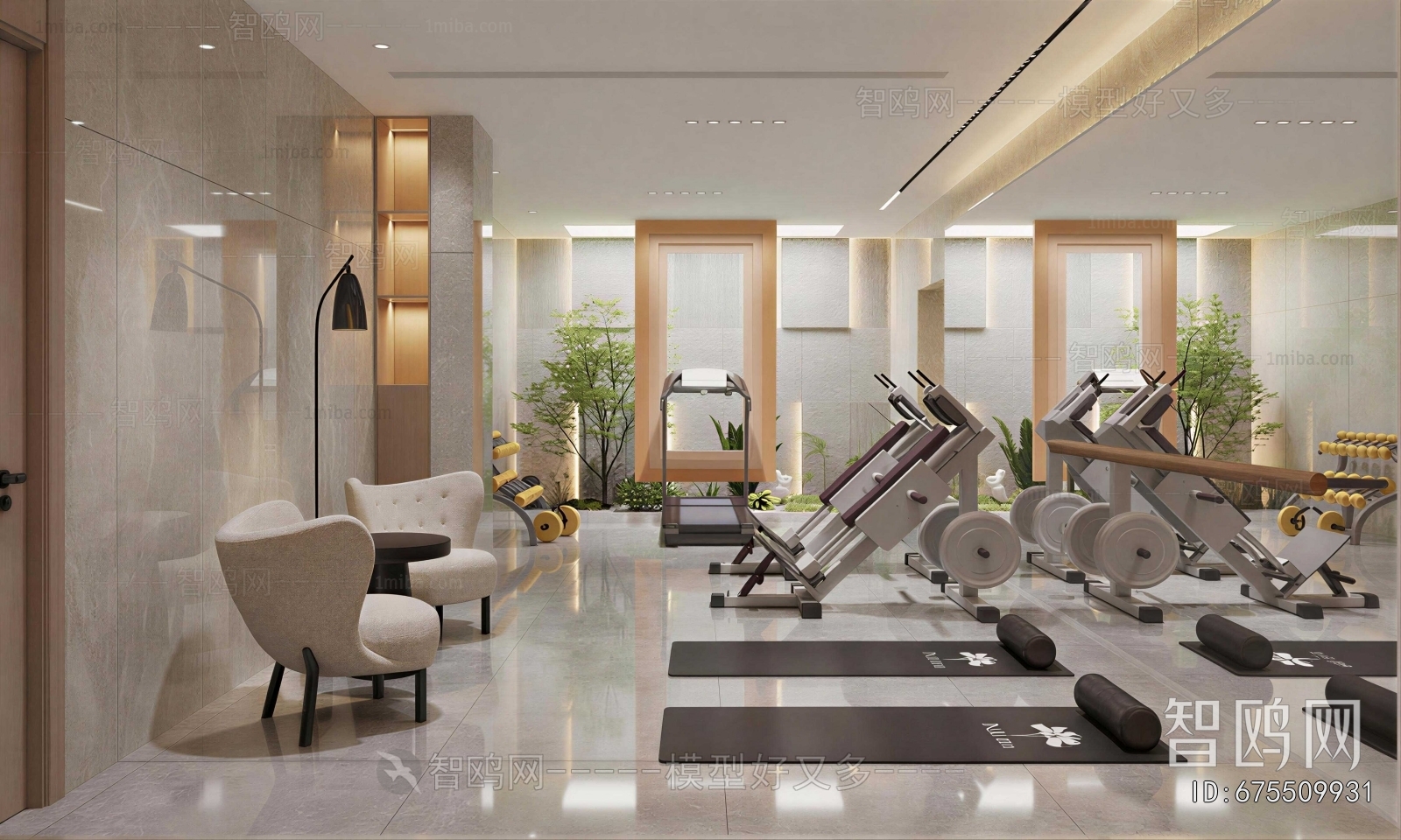Modern Gym