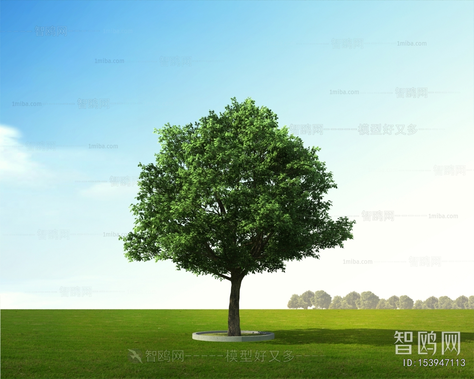 Modern Tree
