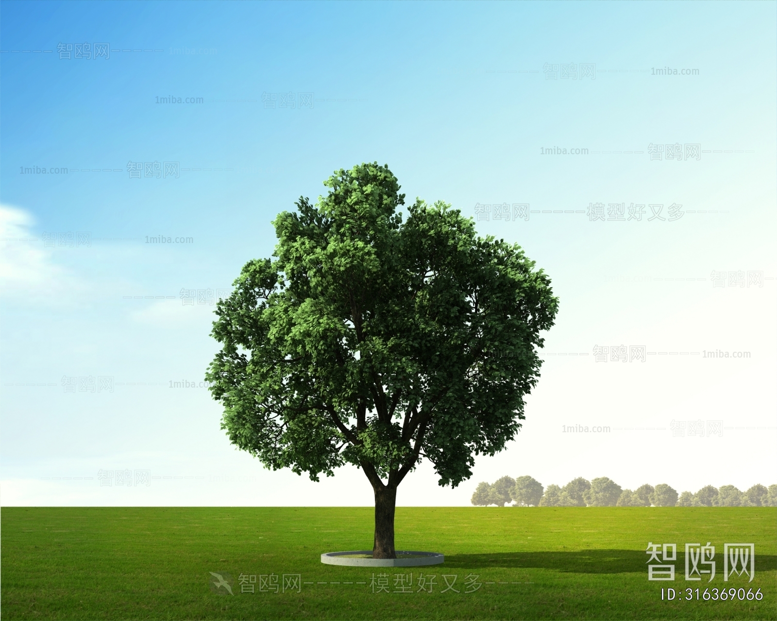 Modern Tree