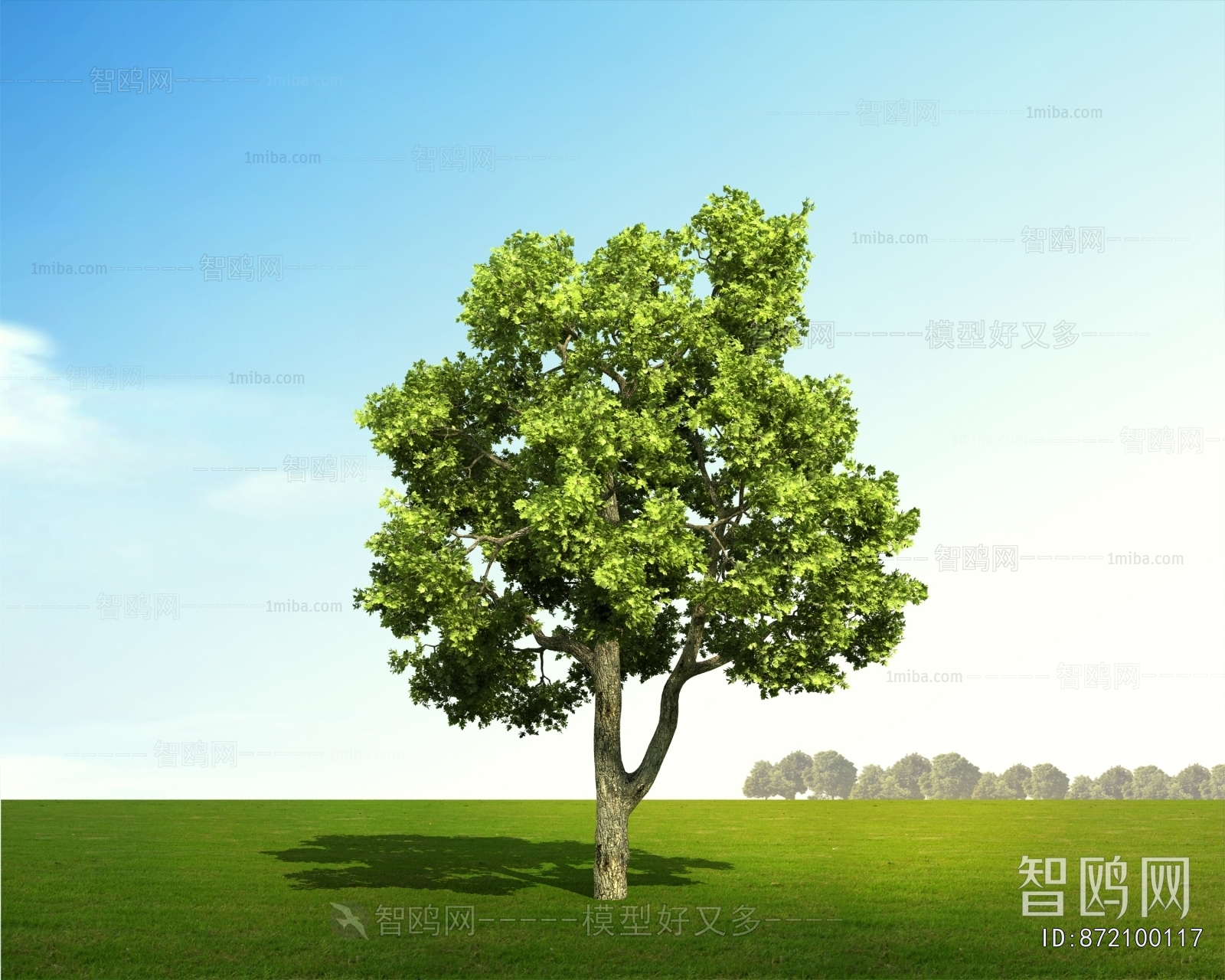 Modern Tree