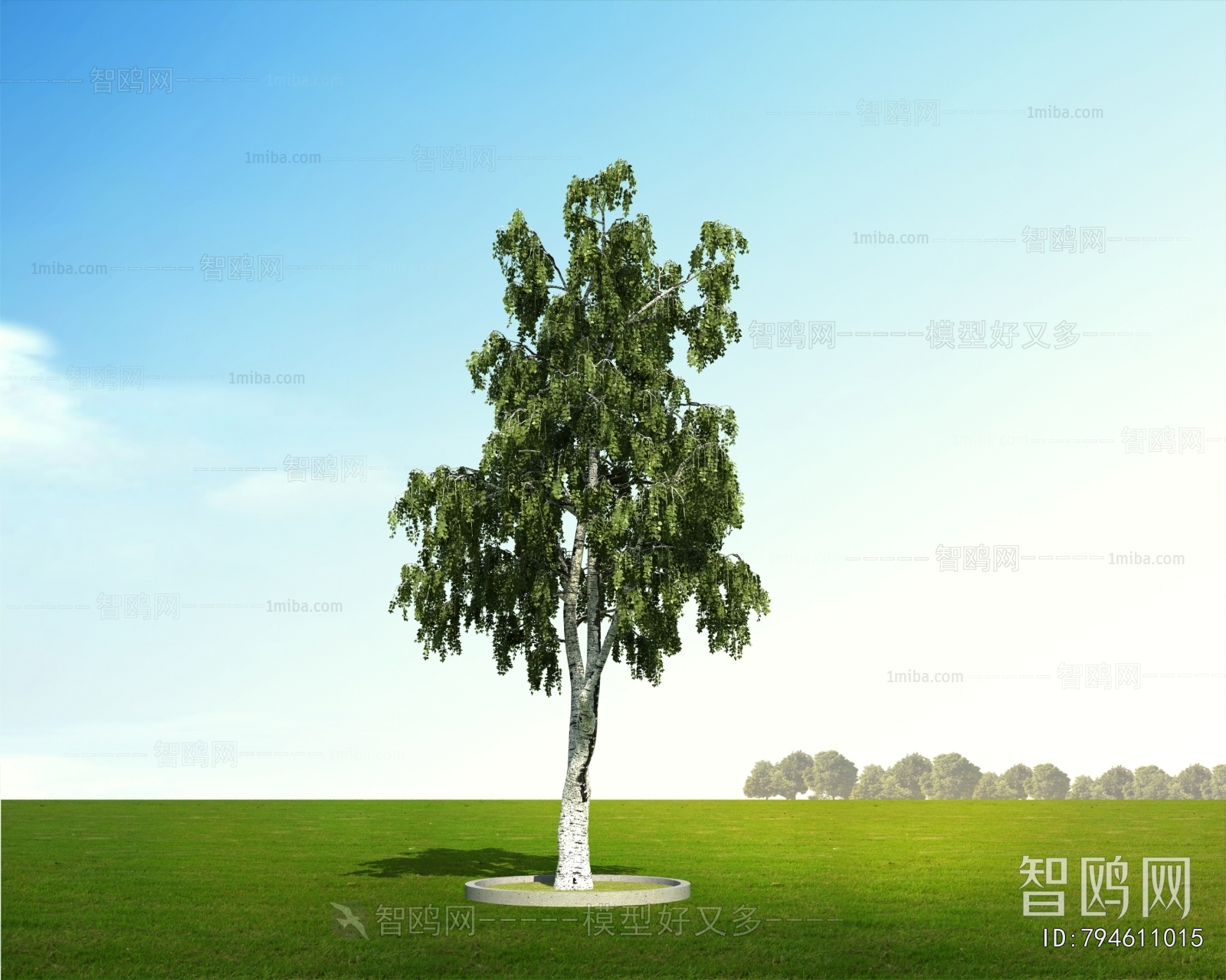 Modern Tree