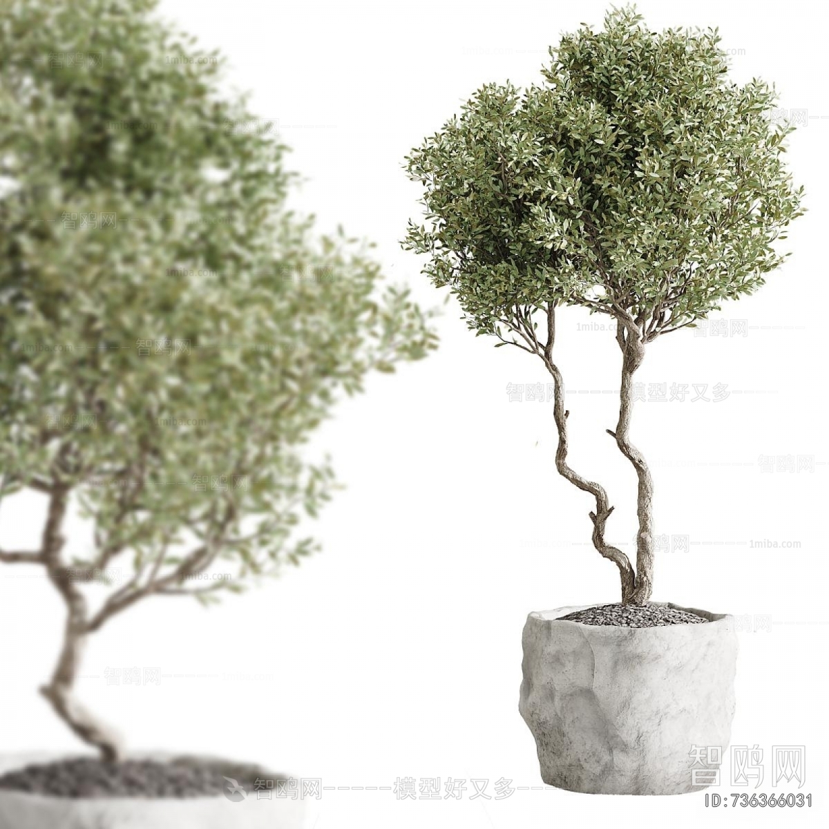 Modern Ground Green Plant Potted Plants
