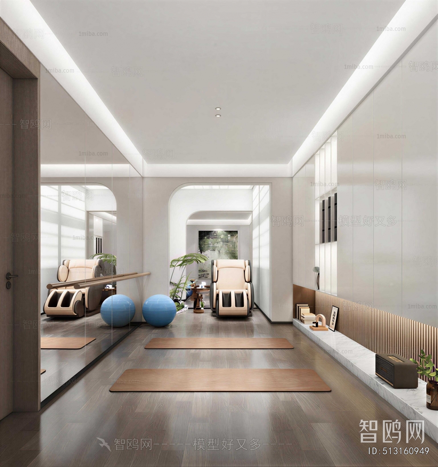 Modern Home Fitness Room