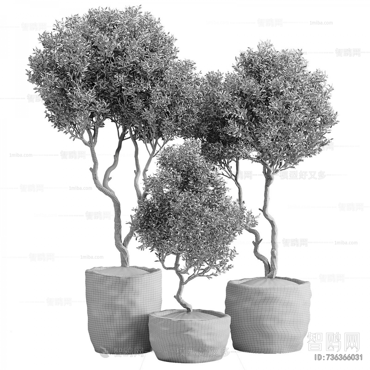 Modern Ground Green Plant Potted Plants