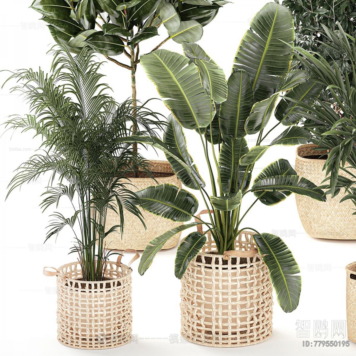Modern Ground Green Plant Potted Plants