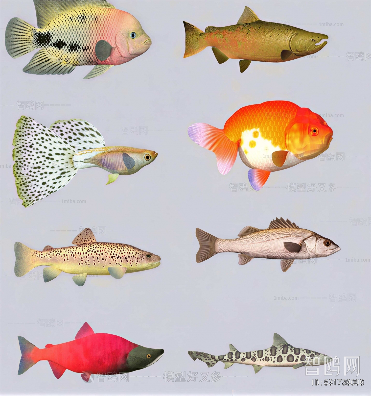 Modern Aquatic Animals