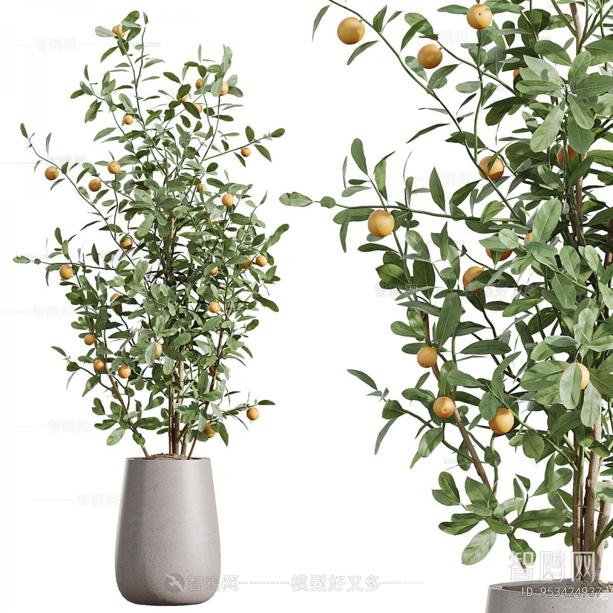 Modern Ground Green Plant Potted Plants