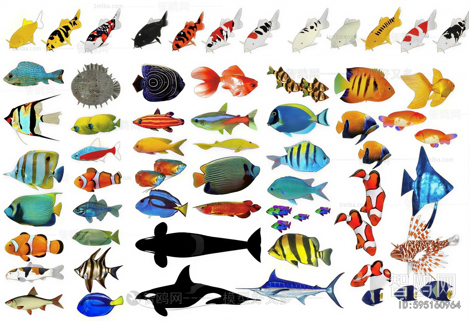 Modern Aquatic Animals