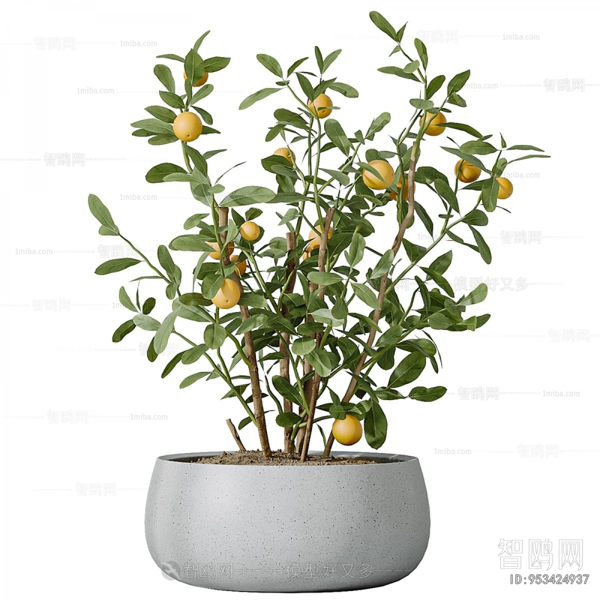 Modern Ground Green Plant Potted Plants