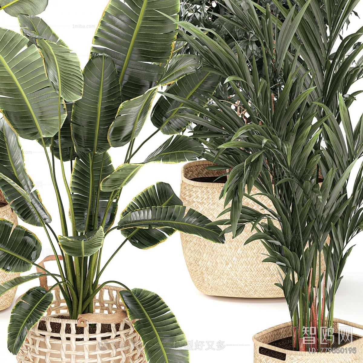 Modern Ground Green Plant Potted Plants