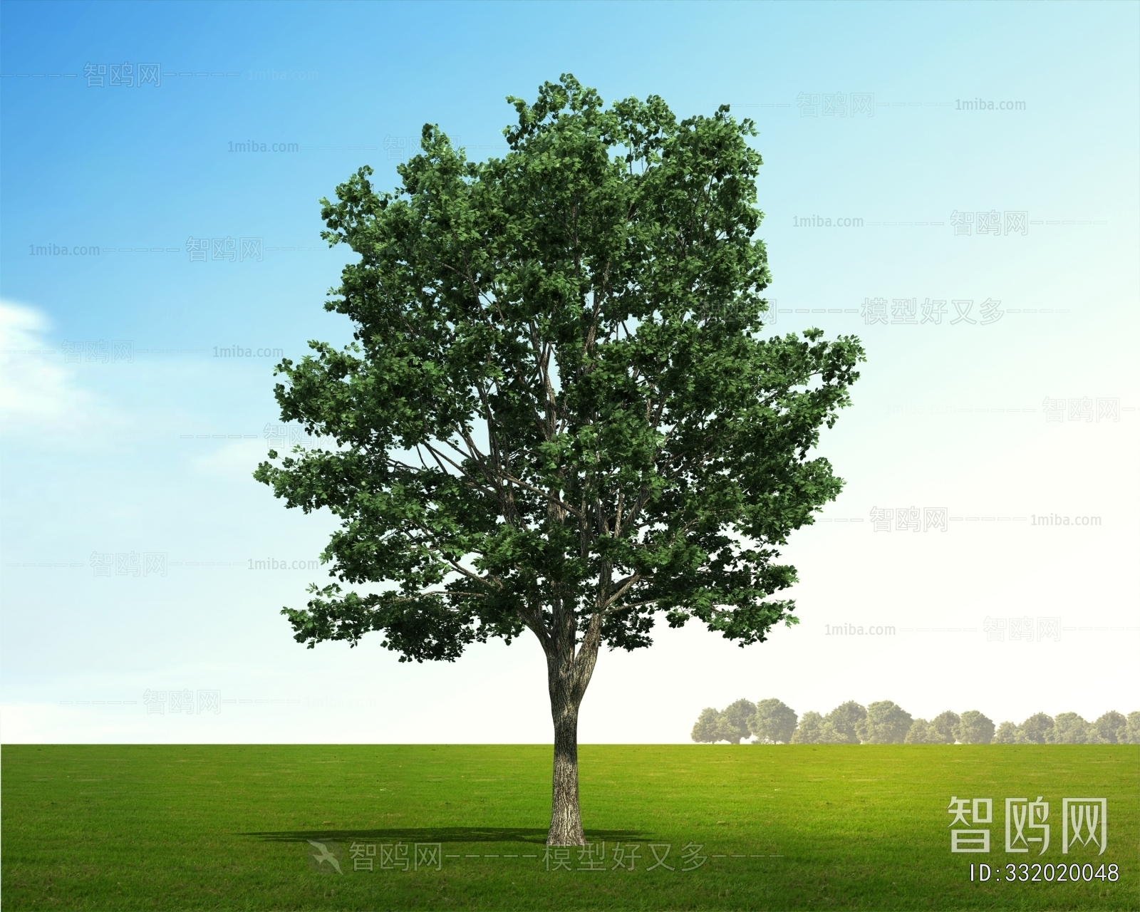 Modern Tree