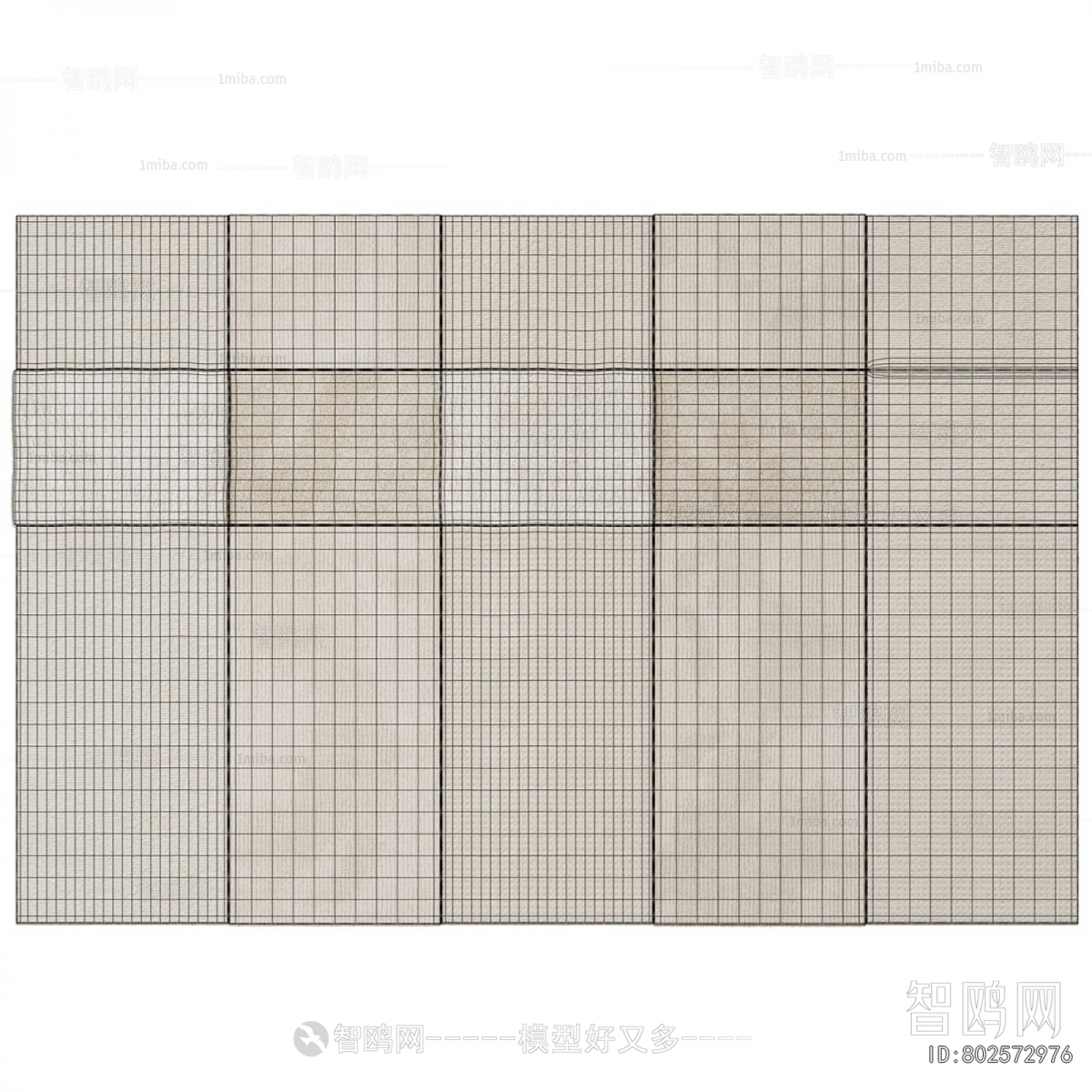 Modern The Carpet