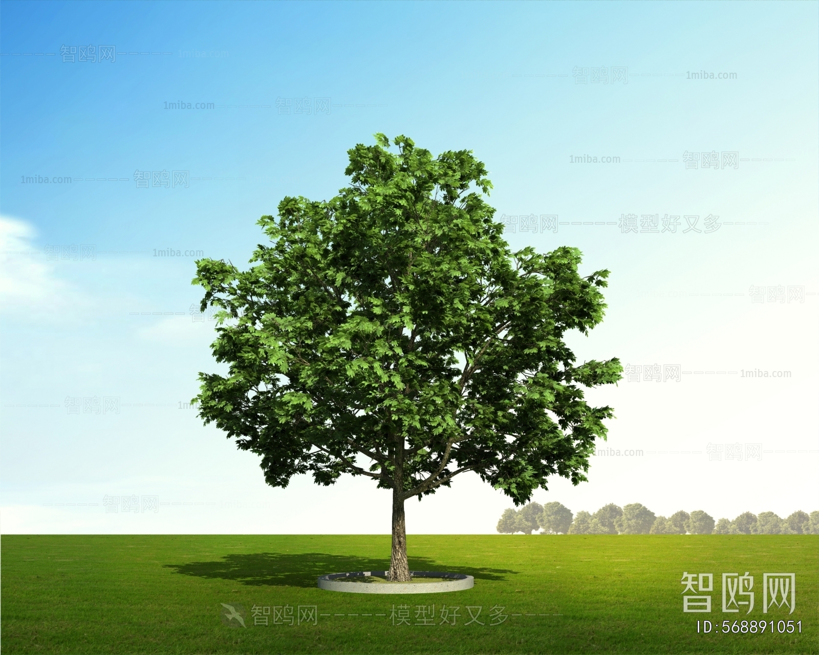 Modern Tree
