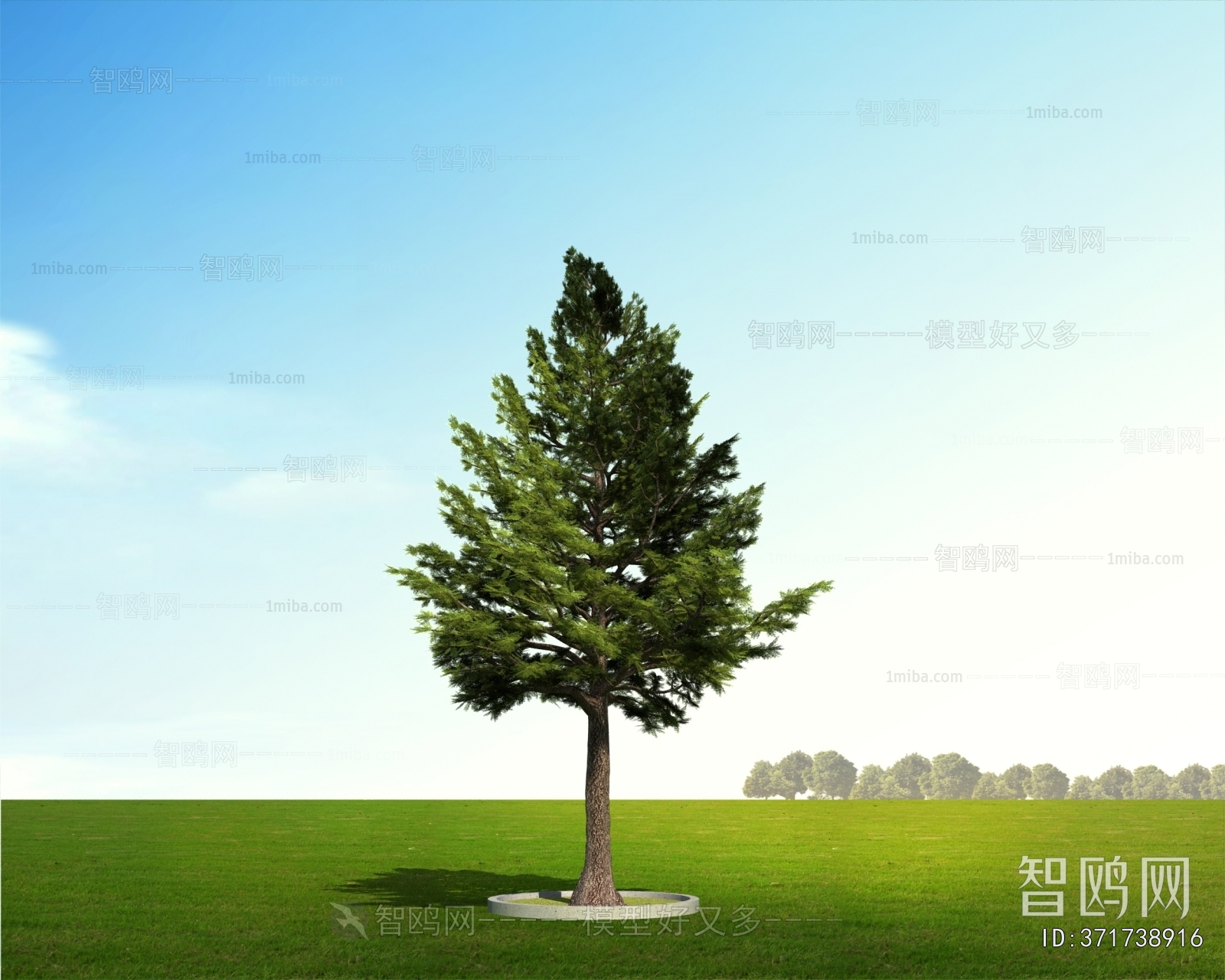 Modern Tree