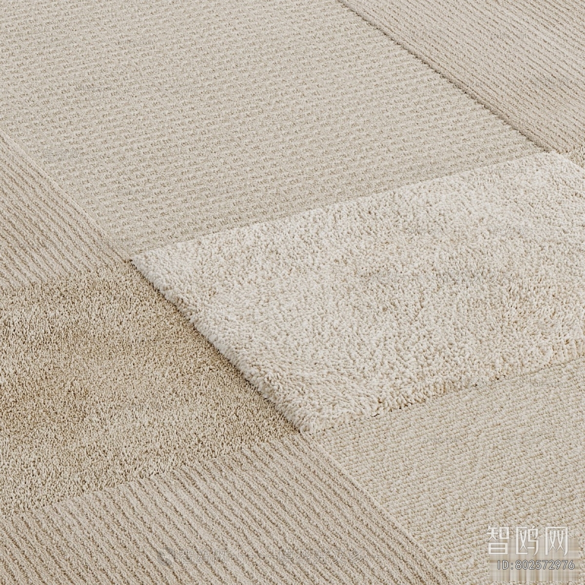 Modern The Carpet