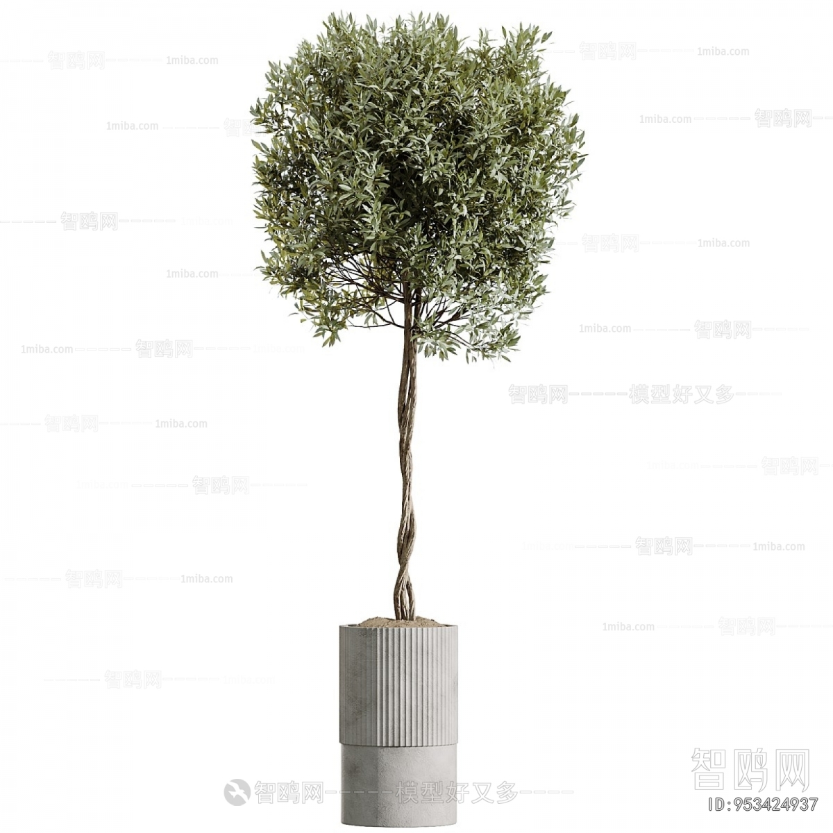 Modern Ground Green Plant Potted Plants