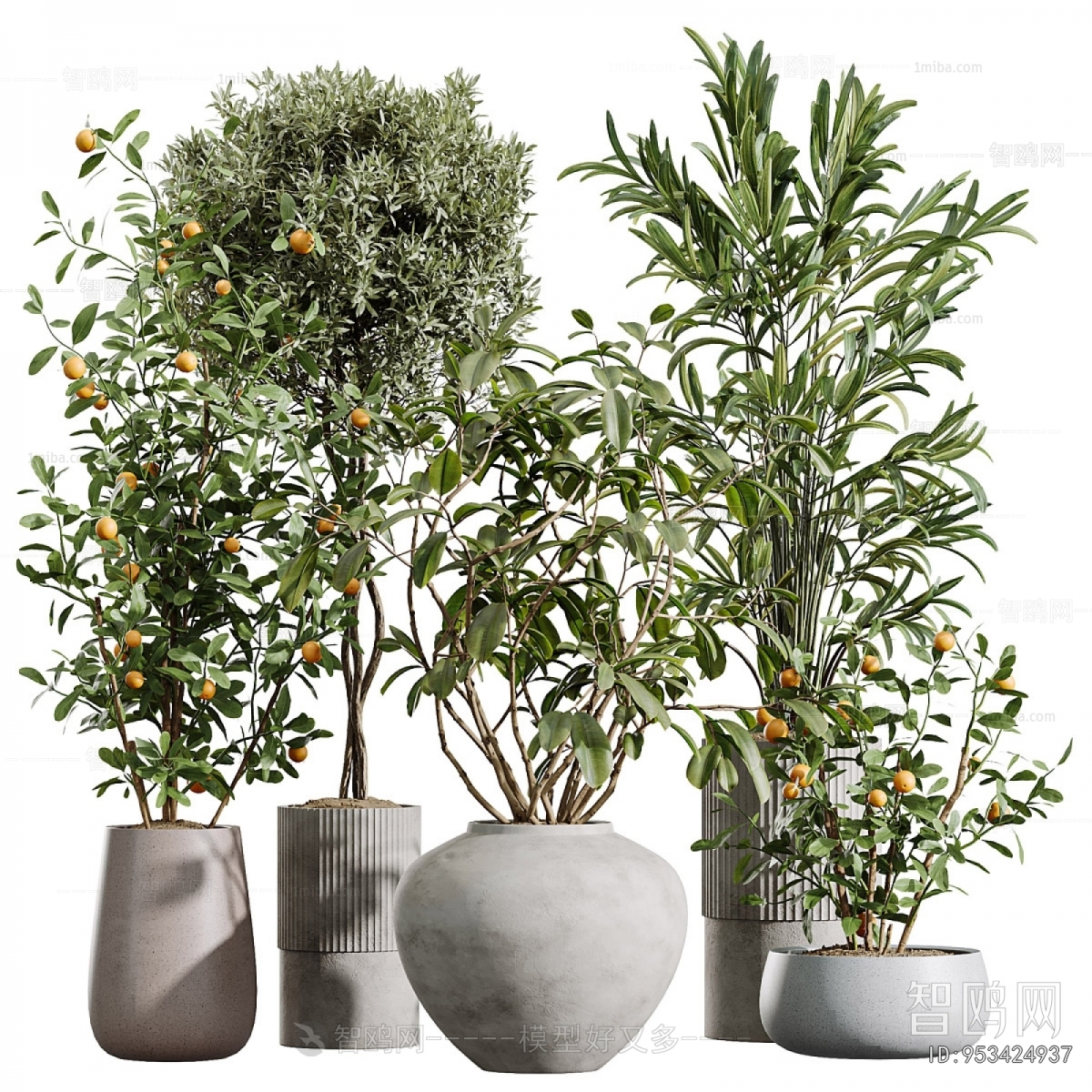 Modern Ground Green Plant Potted Plants