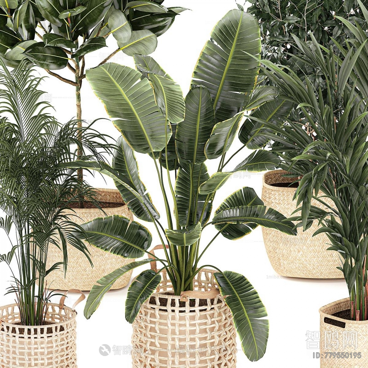 Modern Ground Green Plant Potted Plants
