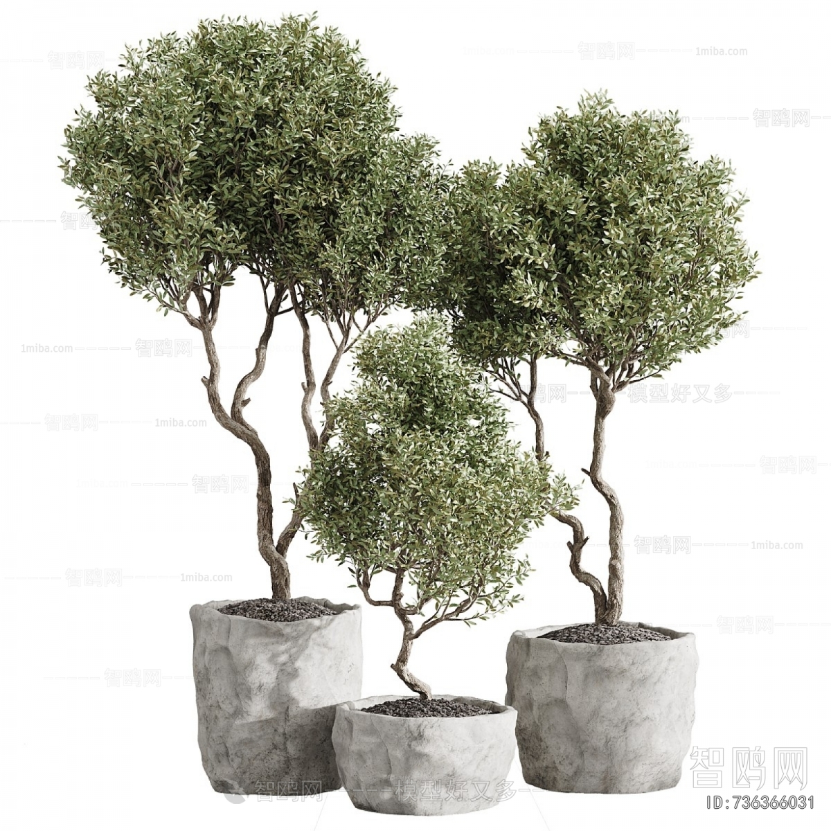 Modern Ground Green Plant Potted Plants