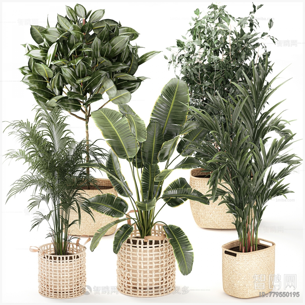 Modern Ground Green Plant Potted Plants
