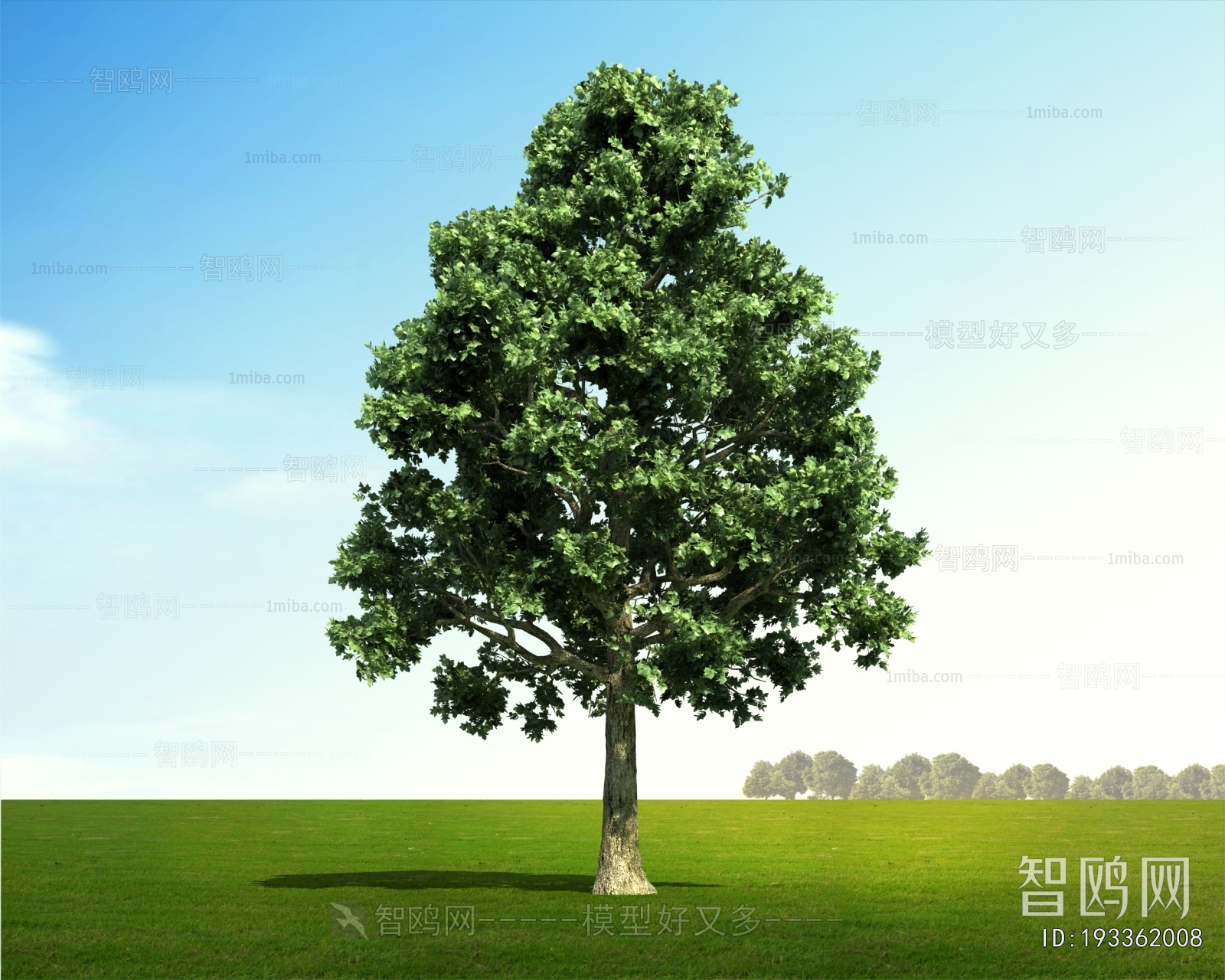 Modern Tree