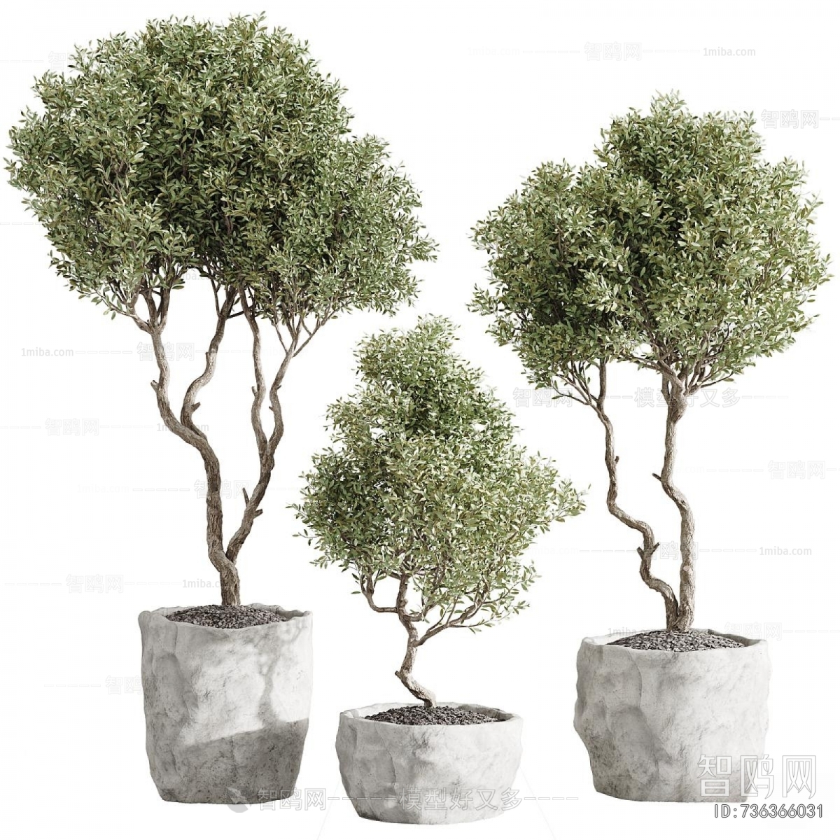 Modern Ground Green Plant Potted Plants