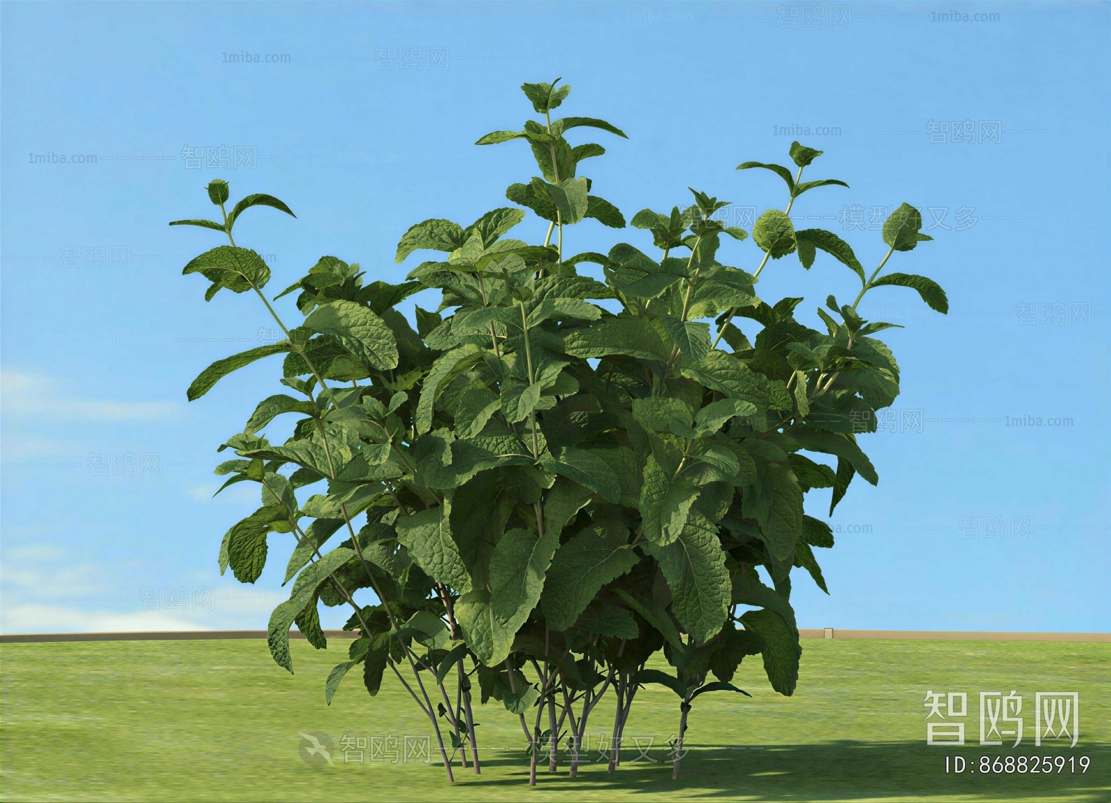 Modern The Grass