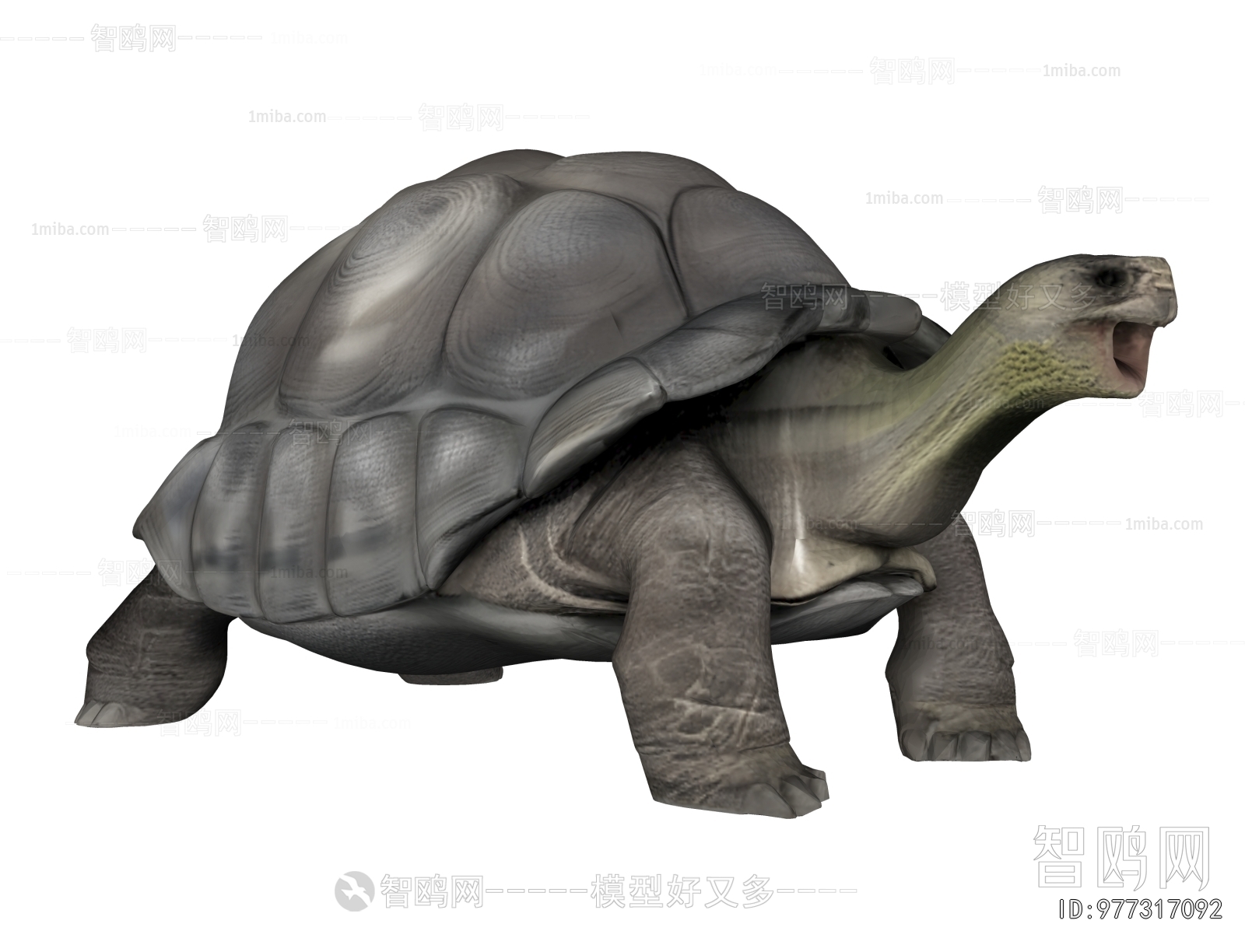 Modern Reptile