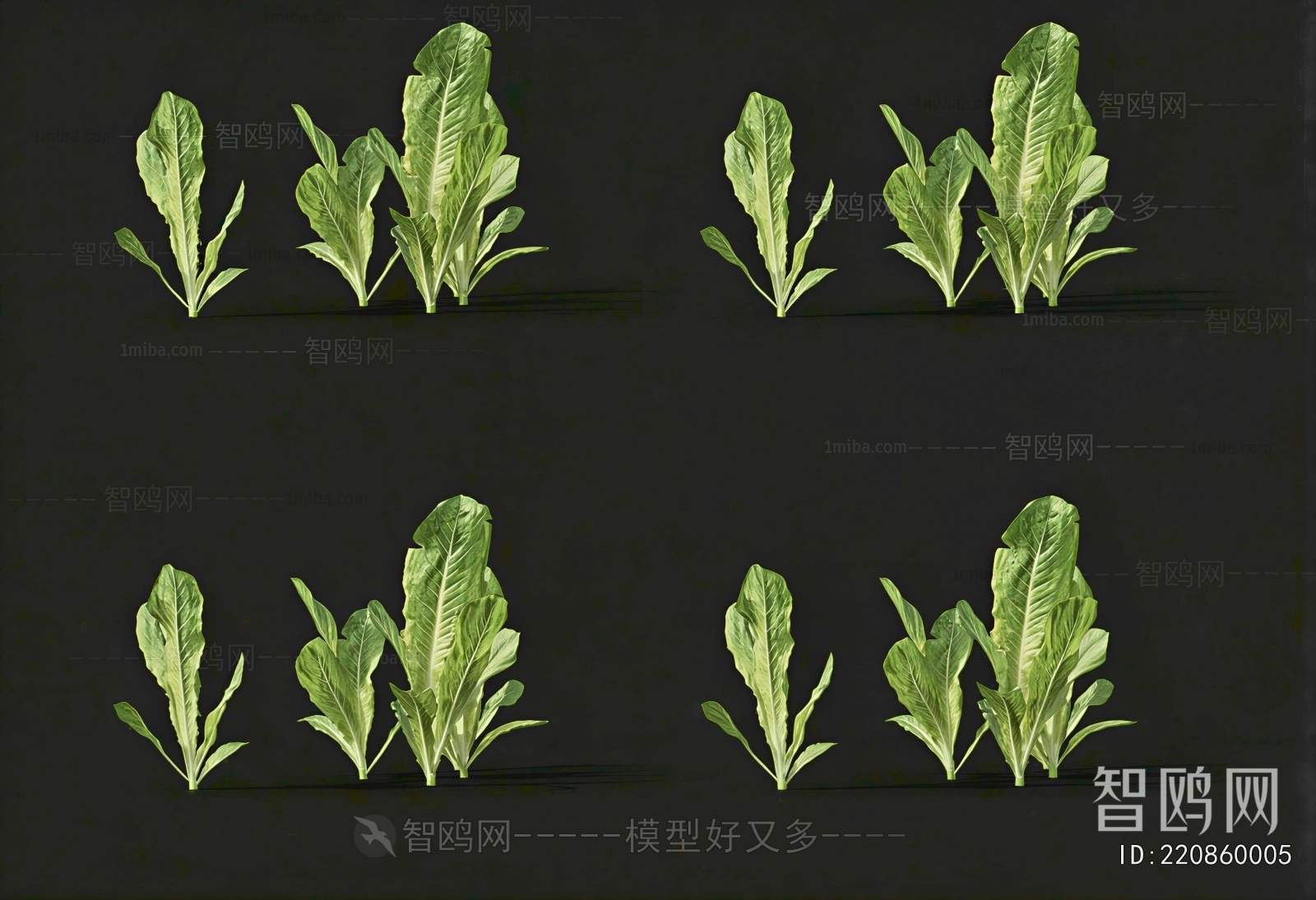 Modern Crop