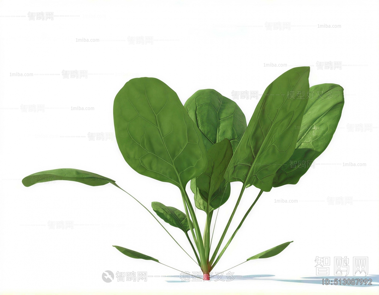 Modern Crop
