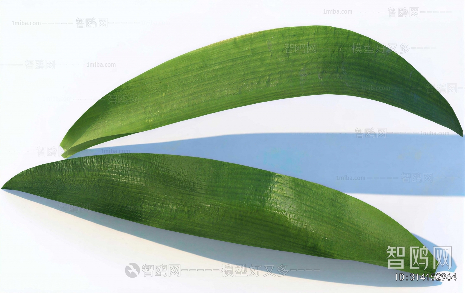 Modern Plant