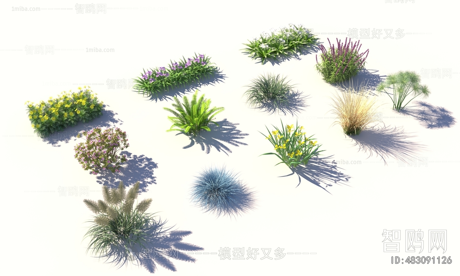 Modern The Grass