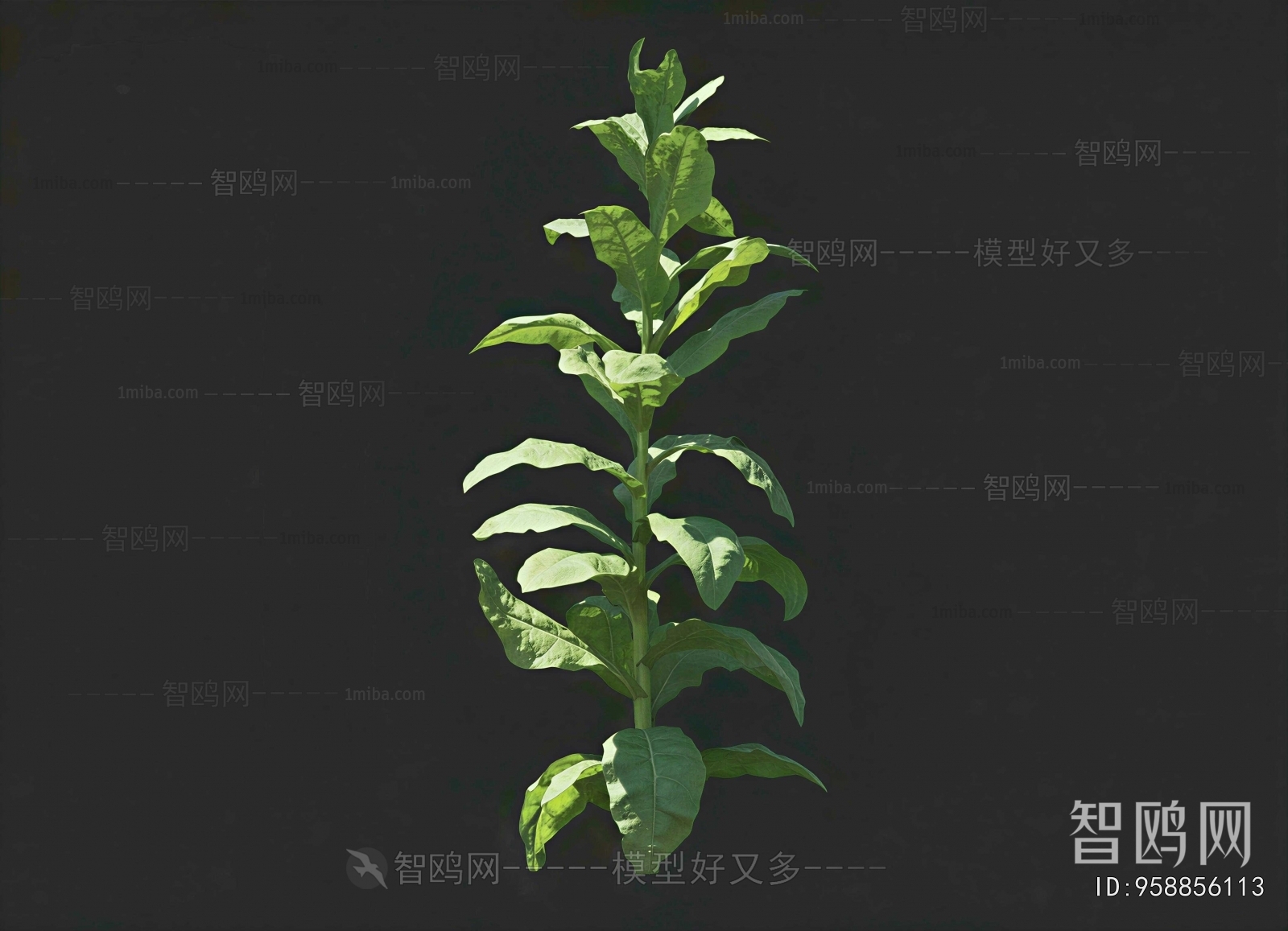 Modern Crop