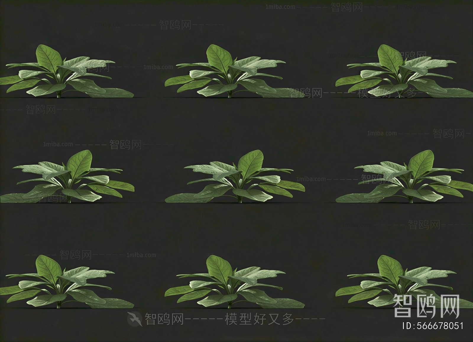 Modern Crop