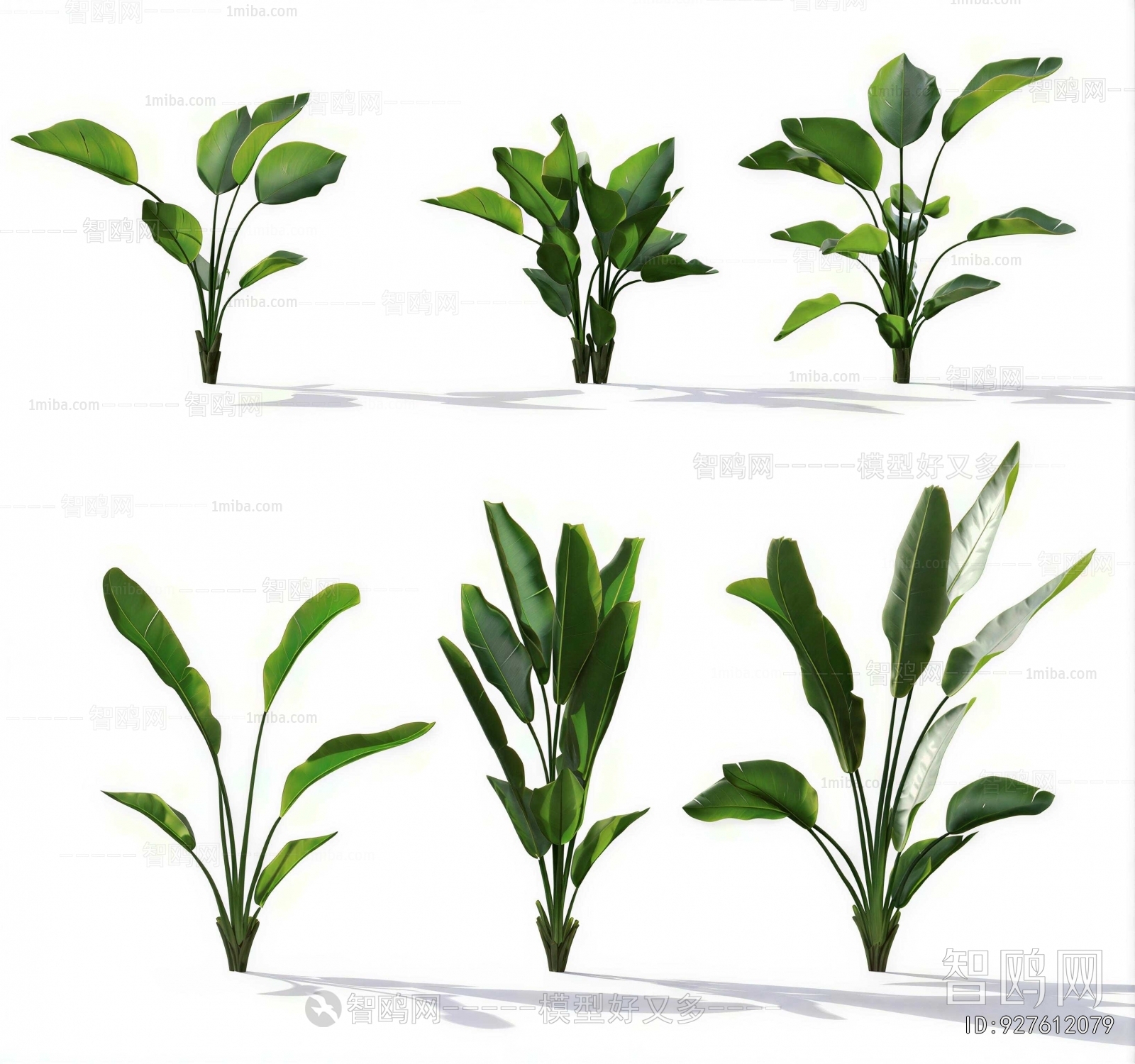 Modern Crop