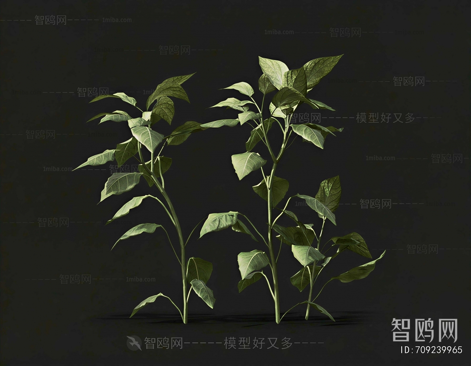 Modern Crop