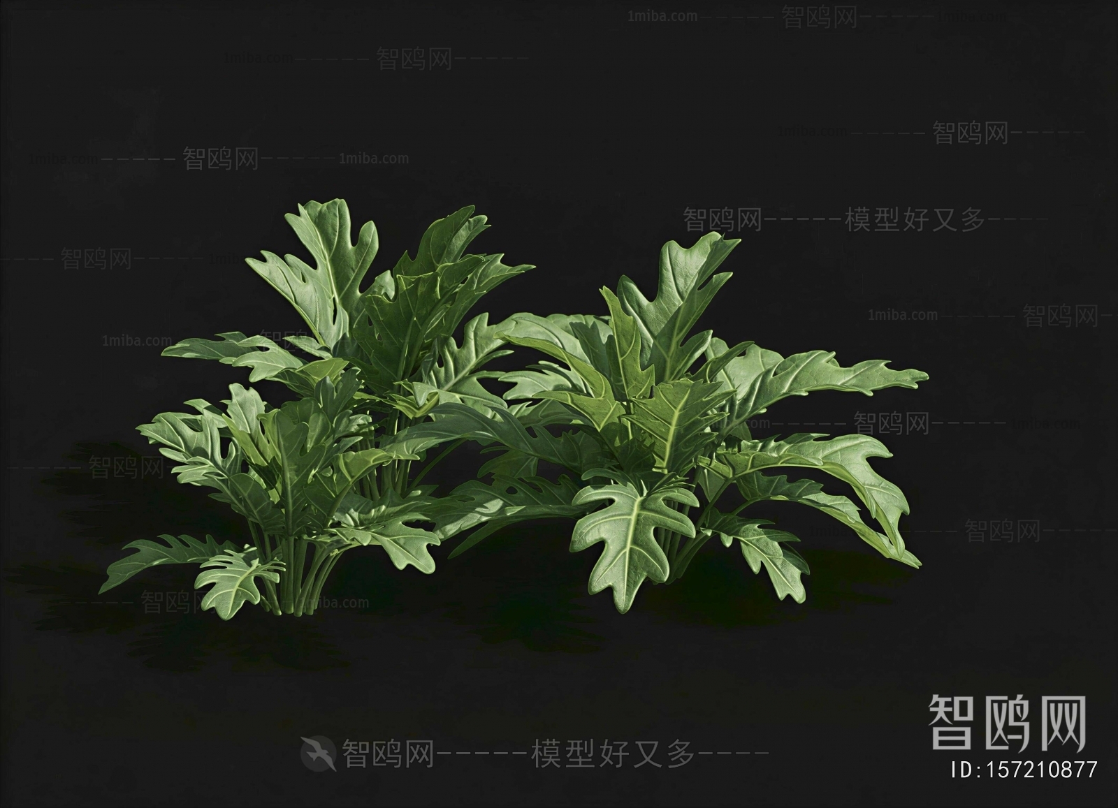 Modern Crop