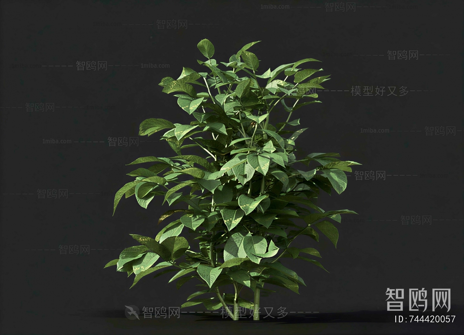 Modern Shrubbery