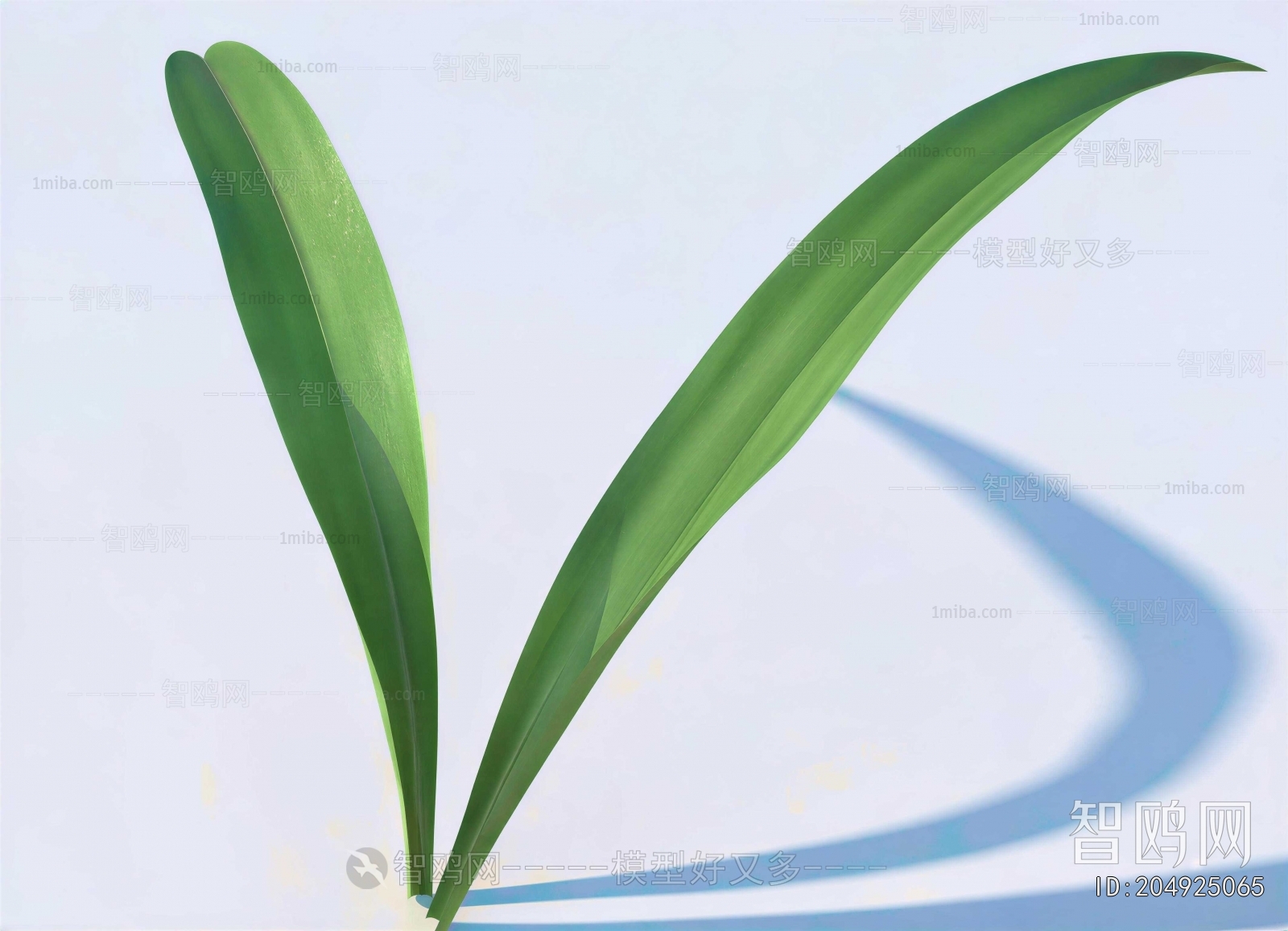 Modern The Grass