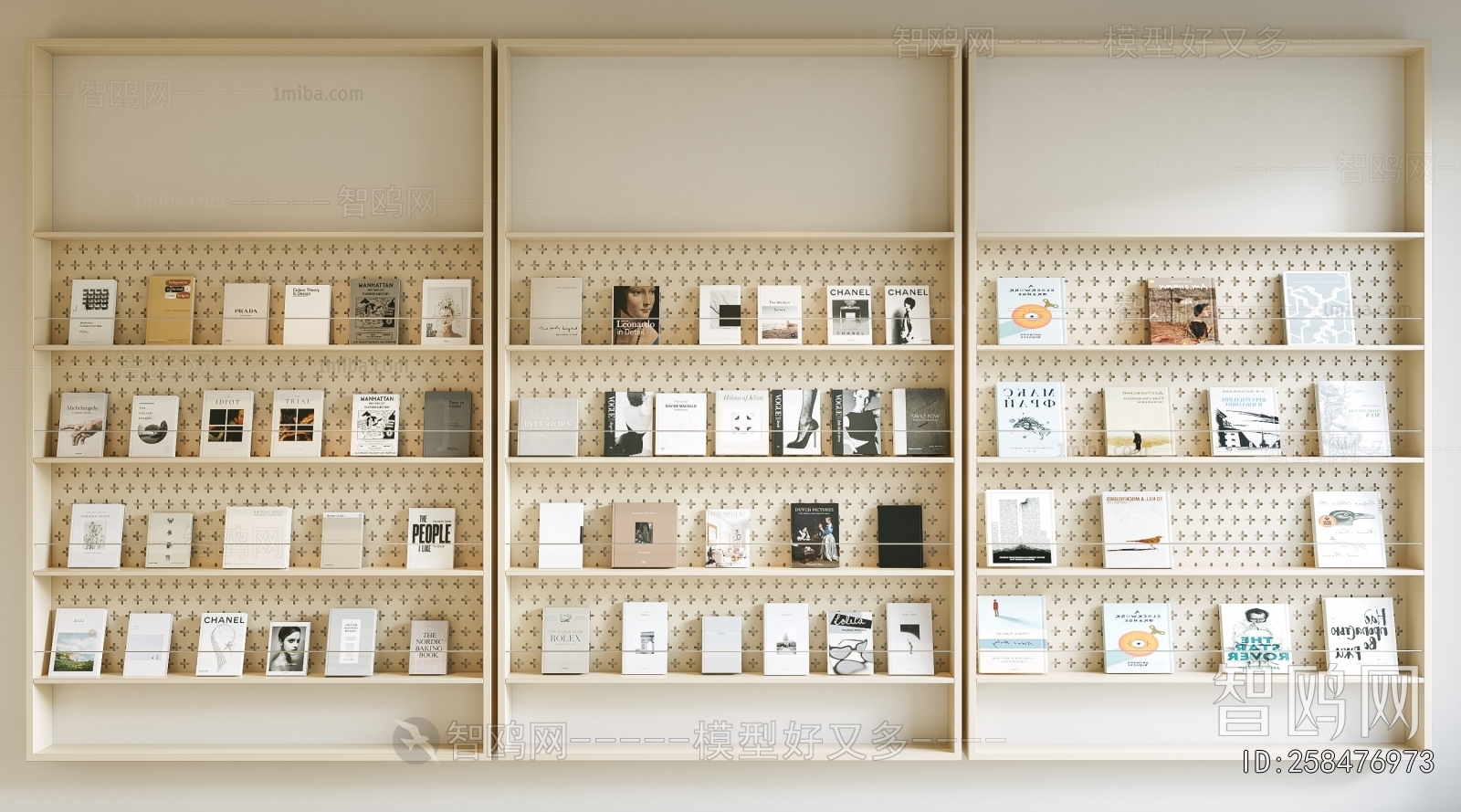 Modern Bookshelf