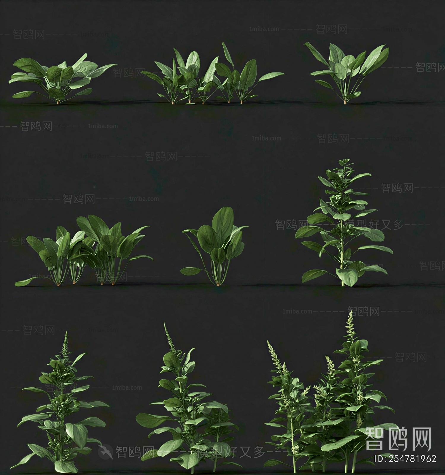 Modern Crop
