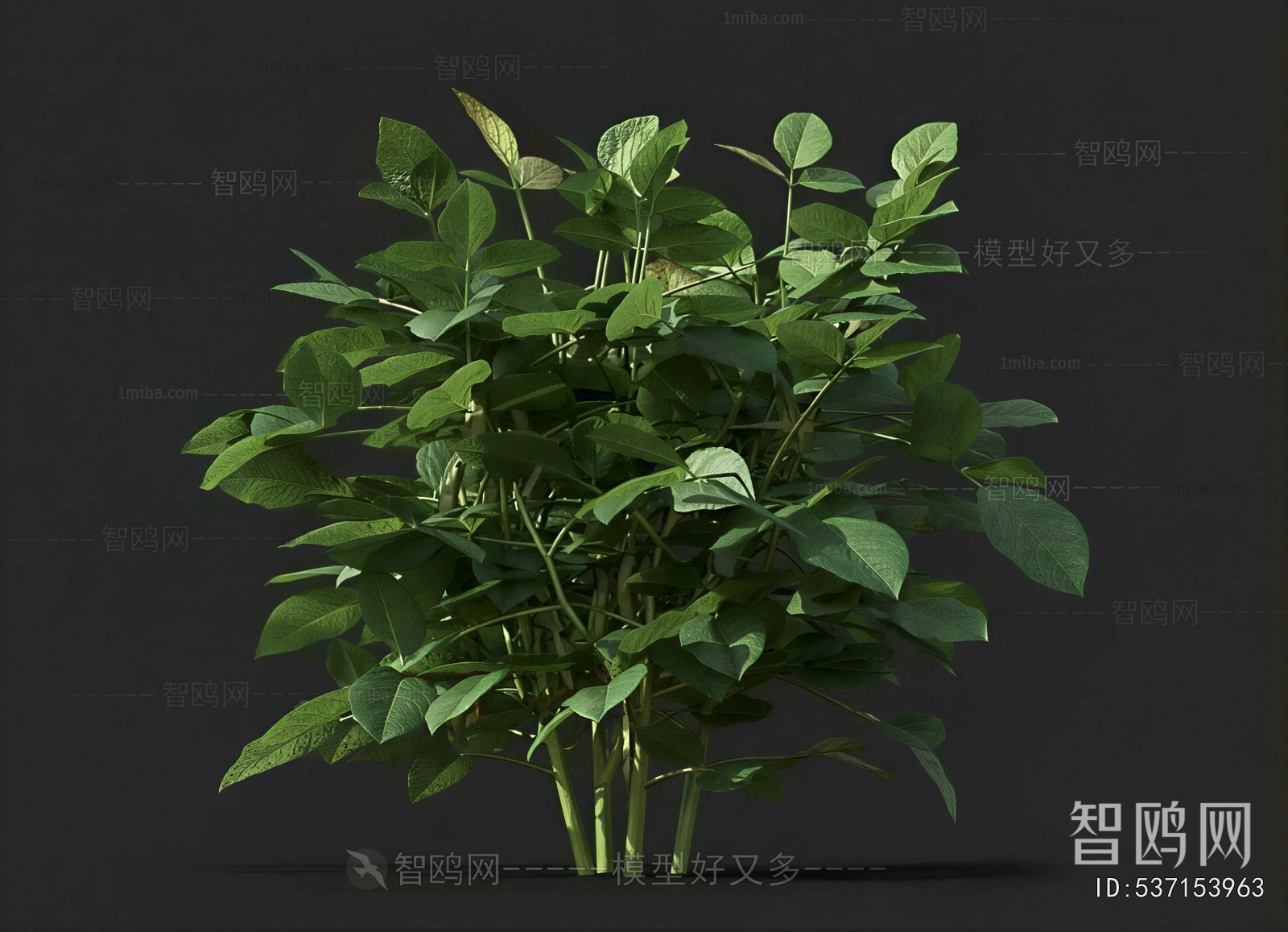 Modern Crop