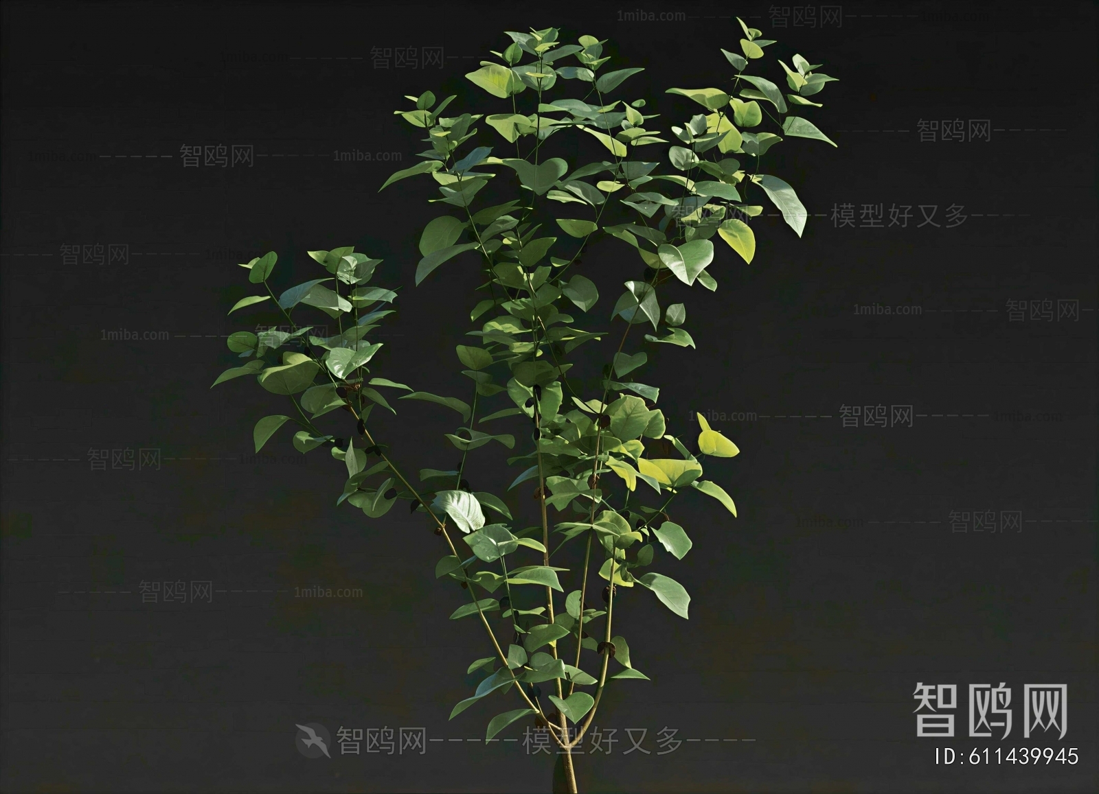 Modern Shrubbery