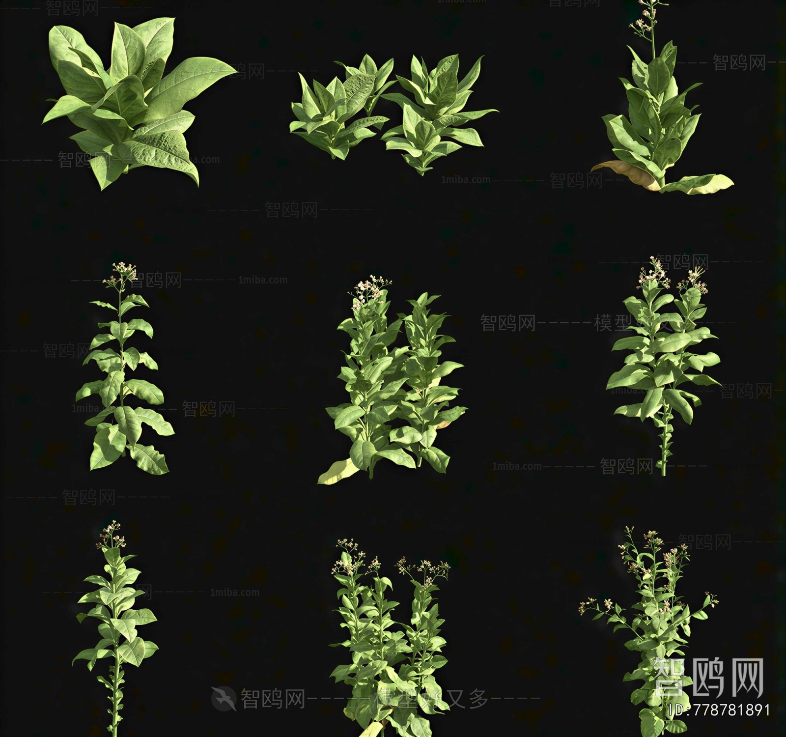 Modern Crop