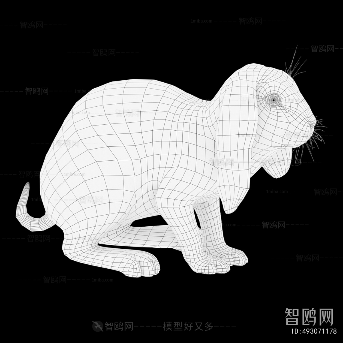 Modern Mammal